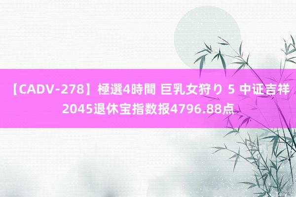 【CADV-278】極選4時間 巨乳女狩り 5 中证吉祥2045退休宝指数报4796.88点