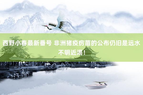 西野小春最新番号 非洲猪疫疠苗的公布仍旧是远水不明近渴！