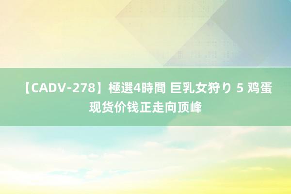 【CADV-278】極選4時間 巨乳女狩り 5 鸡蛋现货价钱正走向顶峰