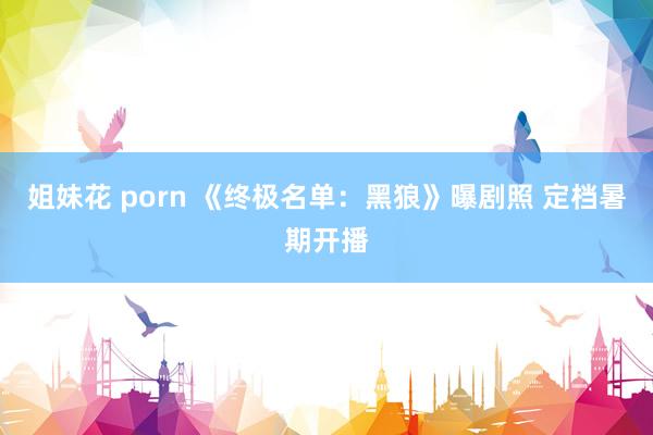 姐妹花 porn 《终极名单：黑狼》曝剧照 定档暑期开播