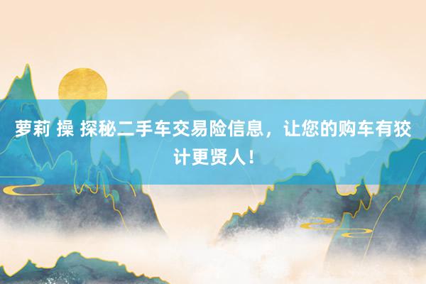 萝莉 操 探秘二手车交易险信息，让您的购车有狡计更贤人！