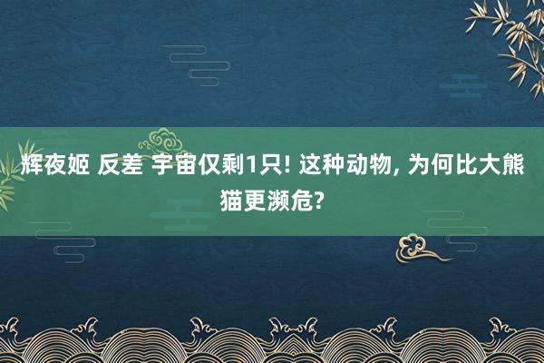 辉夜姬 反差 宇宙仅剩1只! 这种动物, 为何比大熊猫更濒危?