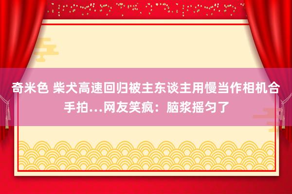 奇米色 柴犬高速回归被主东谈主用慢当作相机合手拍…网友笑疯：脑浆摇匀了